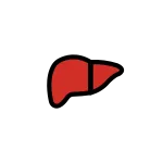 Liver SVG Icon